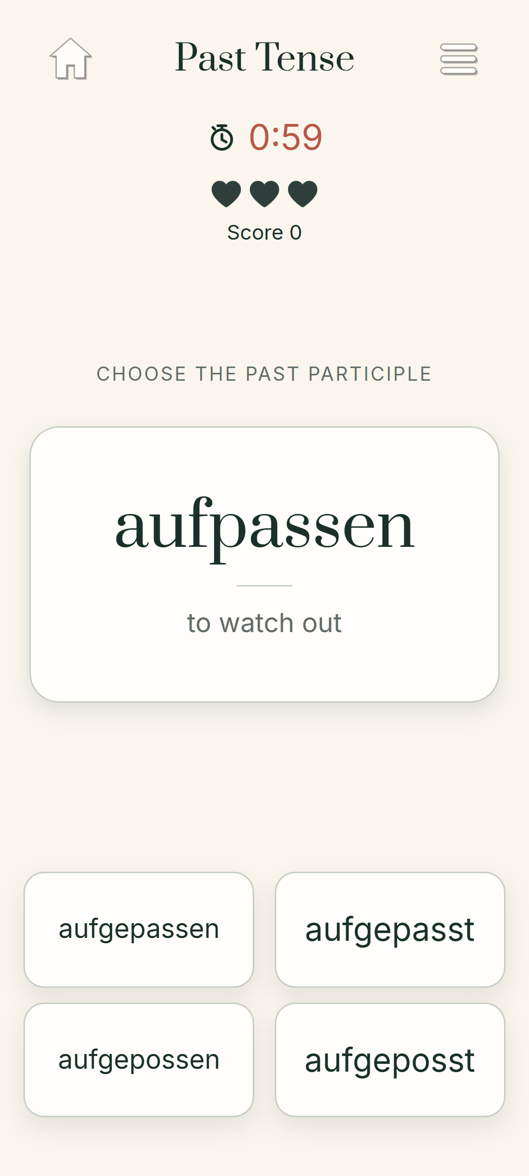 Focused German past tense practice